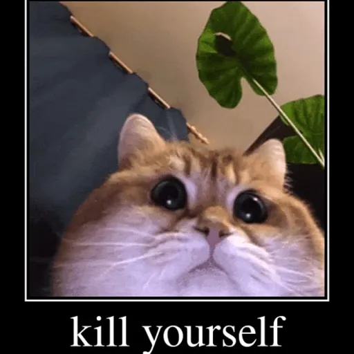 creator Tris10.'s avatar