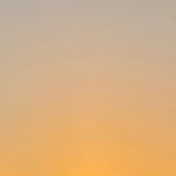 creator BoBow's avatar