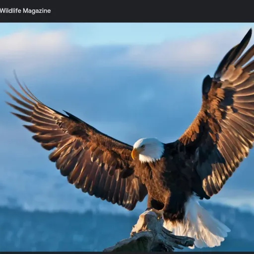 creator Weird human 🍄🍄🍄🍄🍄🍄's avatar