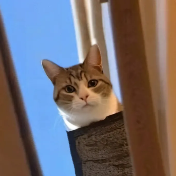 chat with ai character: Peanut butterthuga