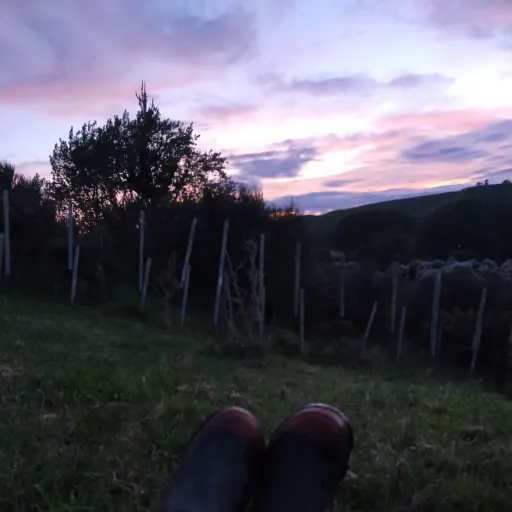 creator Anonymous McPerson's avatar