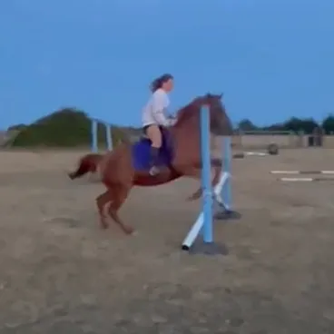 creator Daisy 🌼 🤍💙's avatar