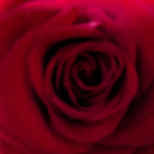 creator QUACKSTACK's avatar