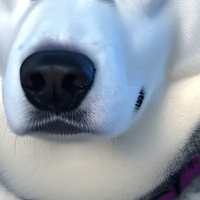 chat with ai character: Mishka