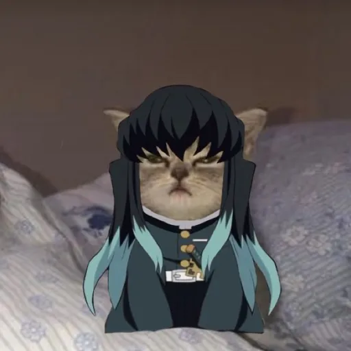 creator Muicat𖤐's avatar