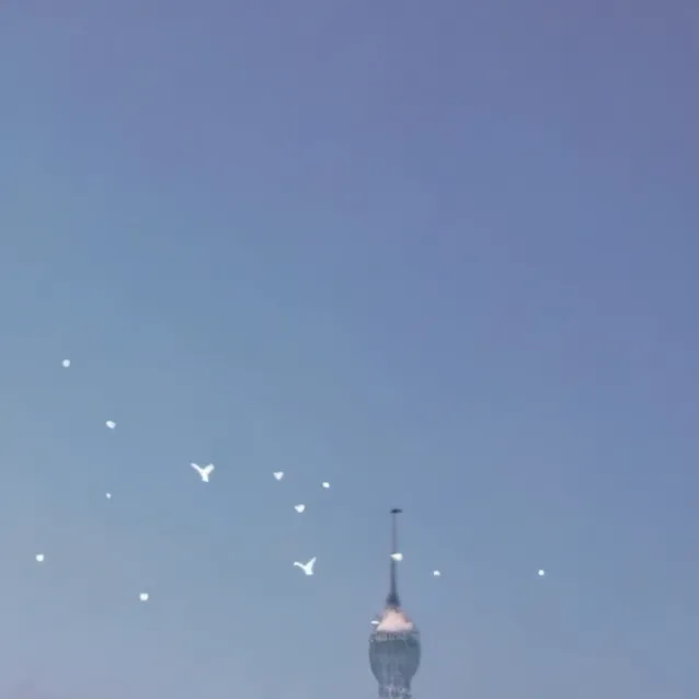 chat with ai character: BUNNY❤