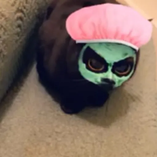 talkie's author avatar