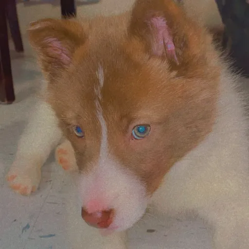 creator KouLours's avatar