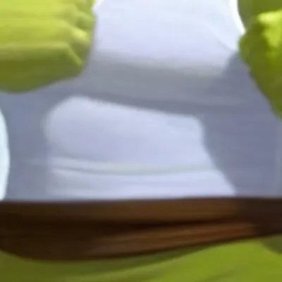 chat with ai character: Buff Shrek