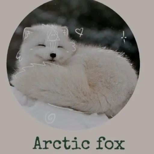 creator Kazuki Kobayashi's avatar