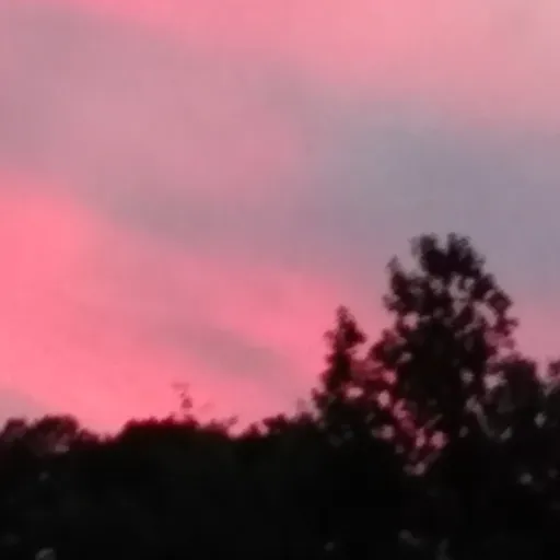 creator y/n bff of miku's avatar