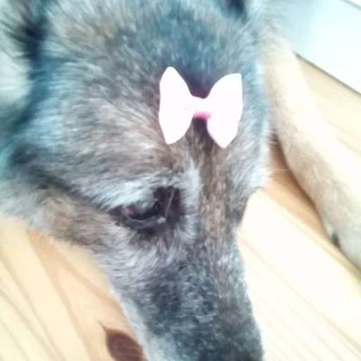 creator i hate school :('s avatar