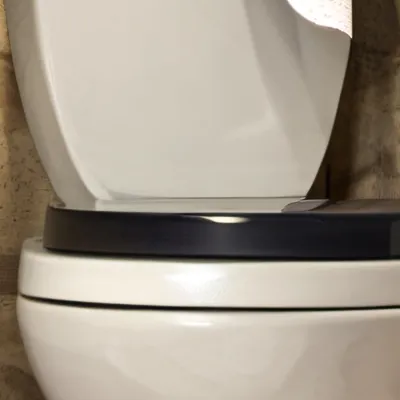 chat with ai character: Toilet paper