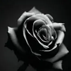 creator Mia_Aines's avatar