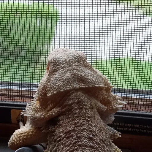 creator Jacob7676's avatar