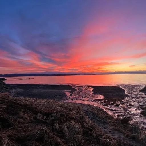 creator -Camille-'s avatar