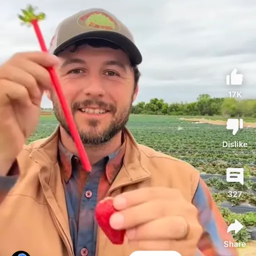 talkie's author avatar