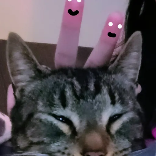 creator SMallTalkingCat's avatar