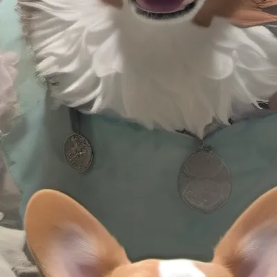 chat with ai character: Wiwy