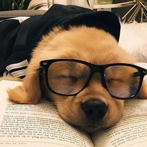 creator Ryujin kim's avatar