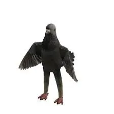 creator MrsChanandlerbong's avatar