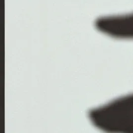 chat with ai character: cat-rainbow 🌈🏳️‍🌈💐