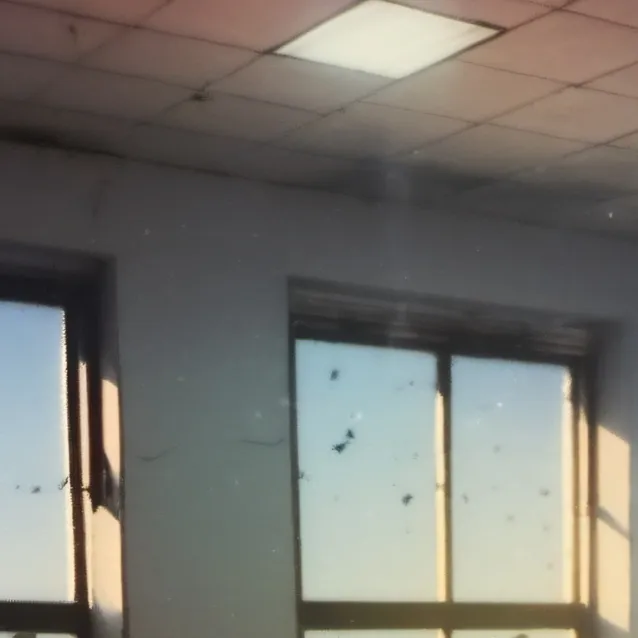 chat with ai character: class 1A