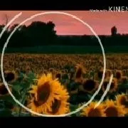 creator mrs r's avatar