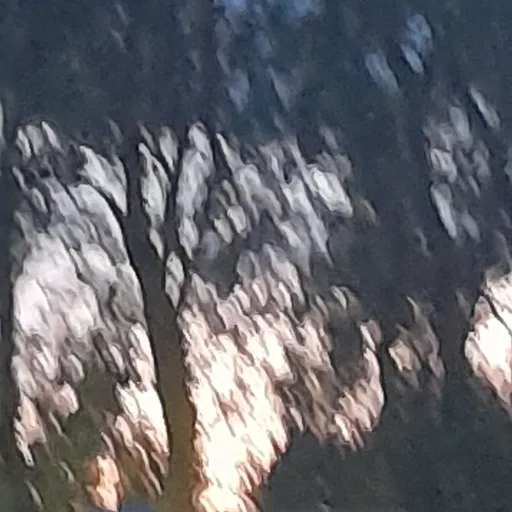 creator hi i love talkie's avatar