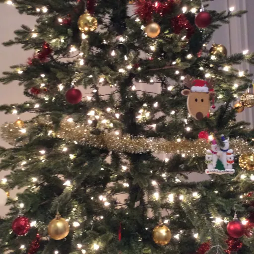 creator Naomi the grape's avatar