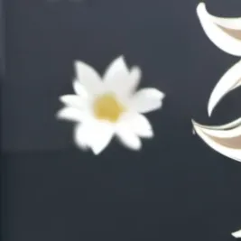 chat with ai character: Ƹ̵•Shawn•Ʒ