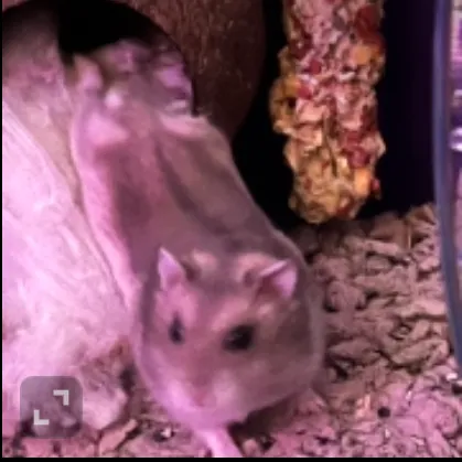 creator Ashy_TheWashy's avatar