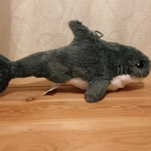 creator Shark plush :3's avatar