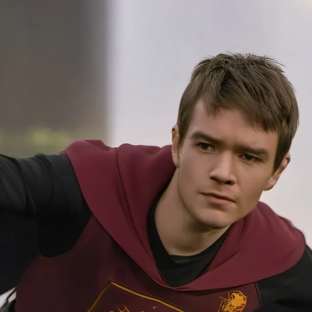 chat with ai character: Hogwarts quidditch