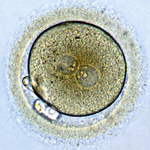 creator riskycrossbow's avatar