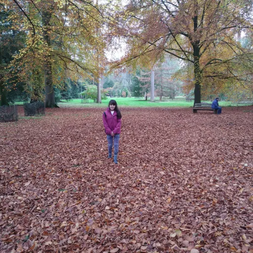 creator Himi7's avatar