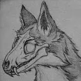 creator Foxy reee's avatar