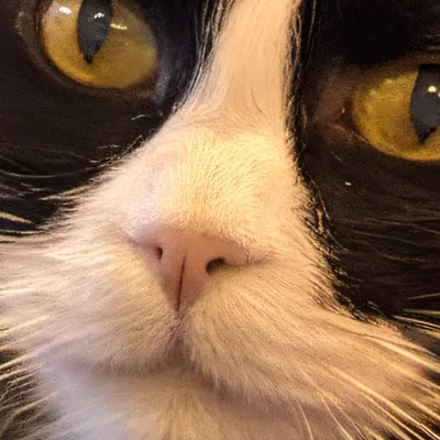 chat with ai character: Half life’s