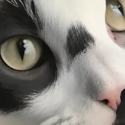 chat with ai character: Snake ‘ Whisker