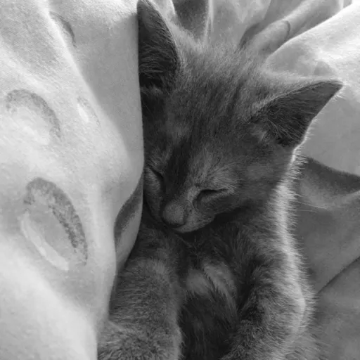 creator KBlue's avatar