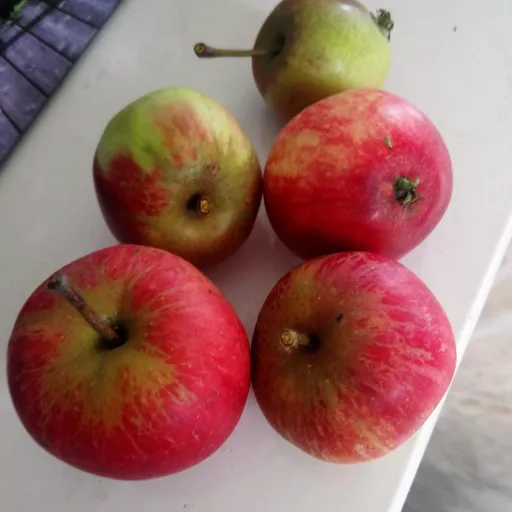 creator ImperialDaedra64's avatar