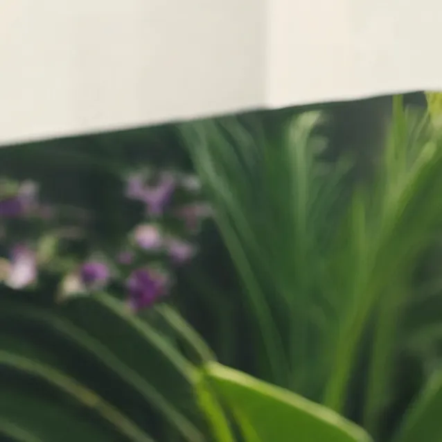 chat with ai character: Legh 