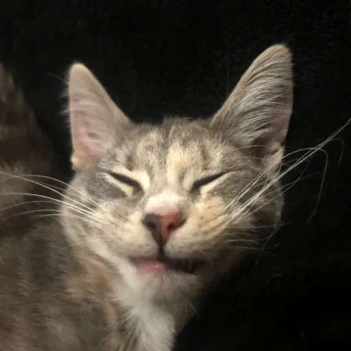 creator Ruby211207's avatar