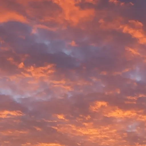 creator SunSetR!se's avatar