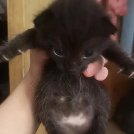 creator idk_m💞's avatar