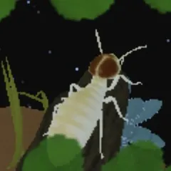 creator THE TERMITE desc's avatar