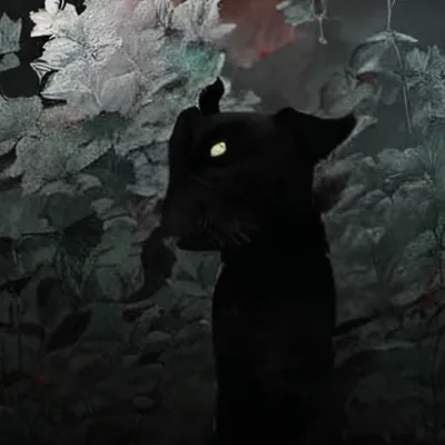 chat with ai character: Velvock