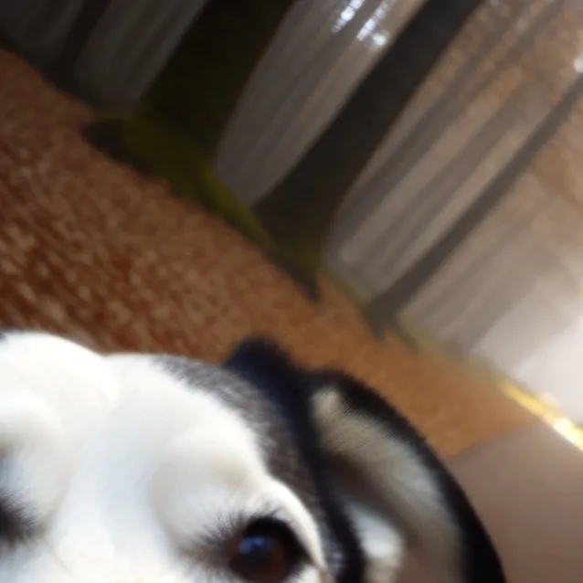 chat with ai character: doge