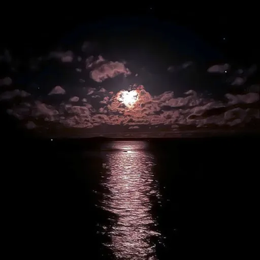 creator Grace-moon2.'s avatar