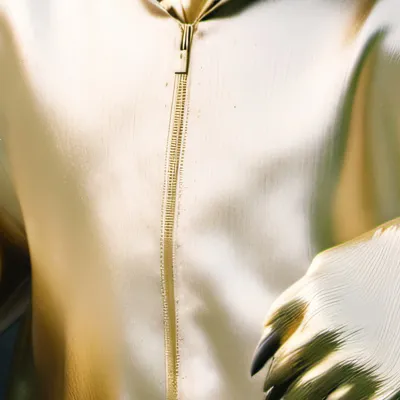 chat with ai character: Fnaf 